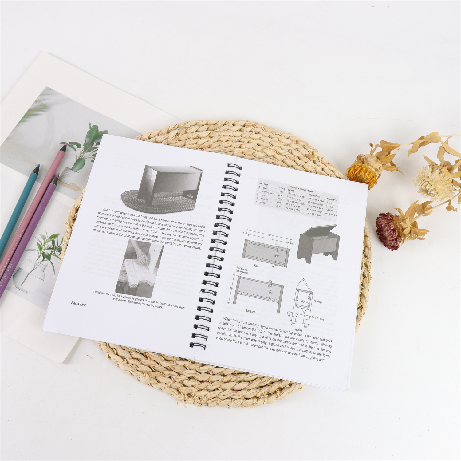 A Woodworking Project Plan Sui - Woodworking Plans Free recensione e prezzo